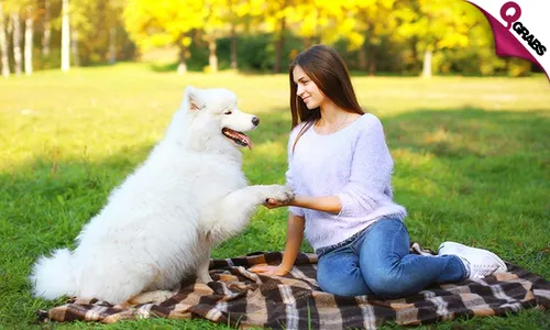 Animal Psychology Online Course!